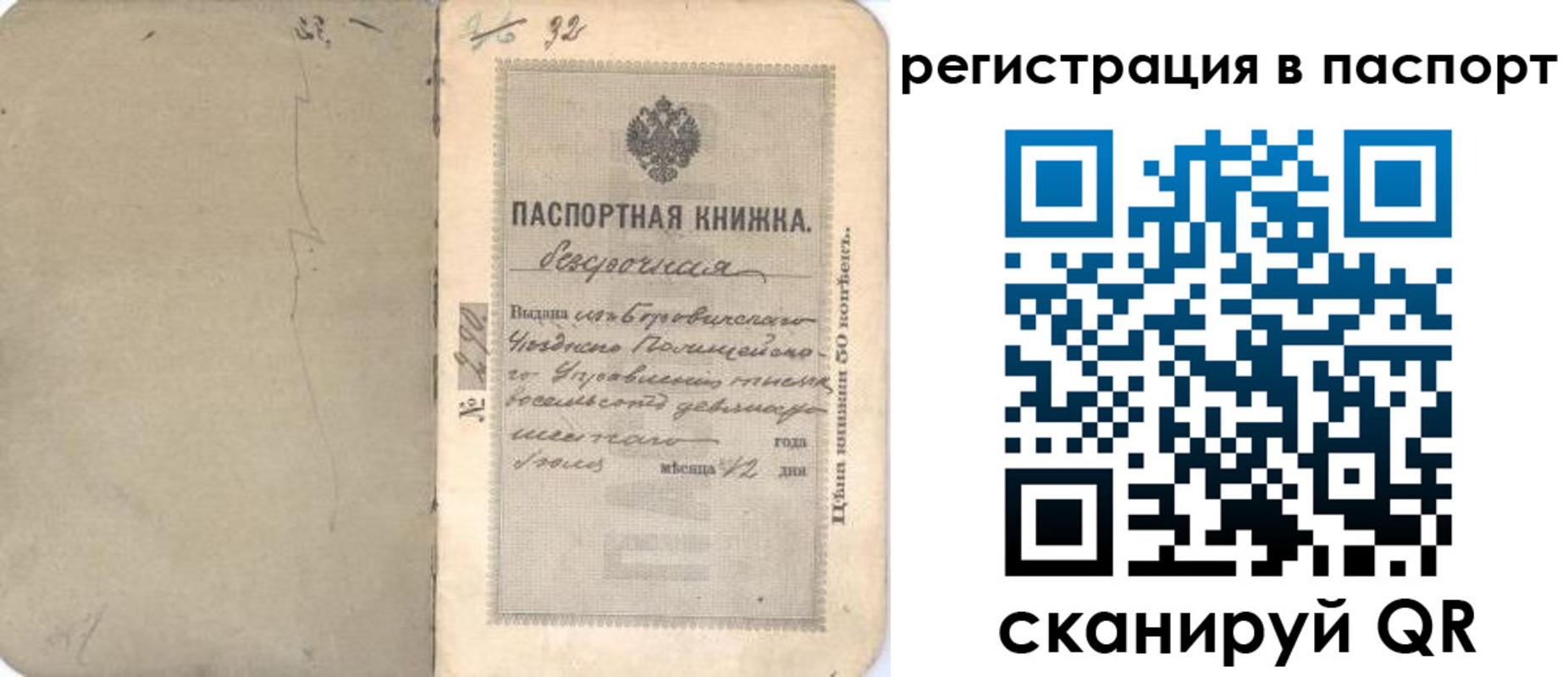прописка гарантия в Александровске